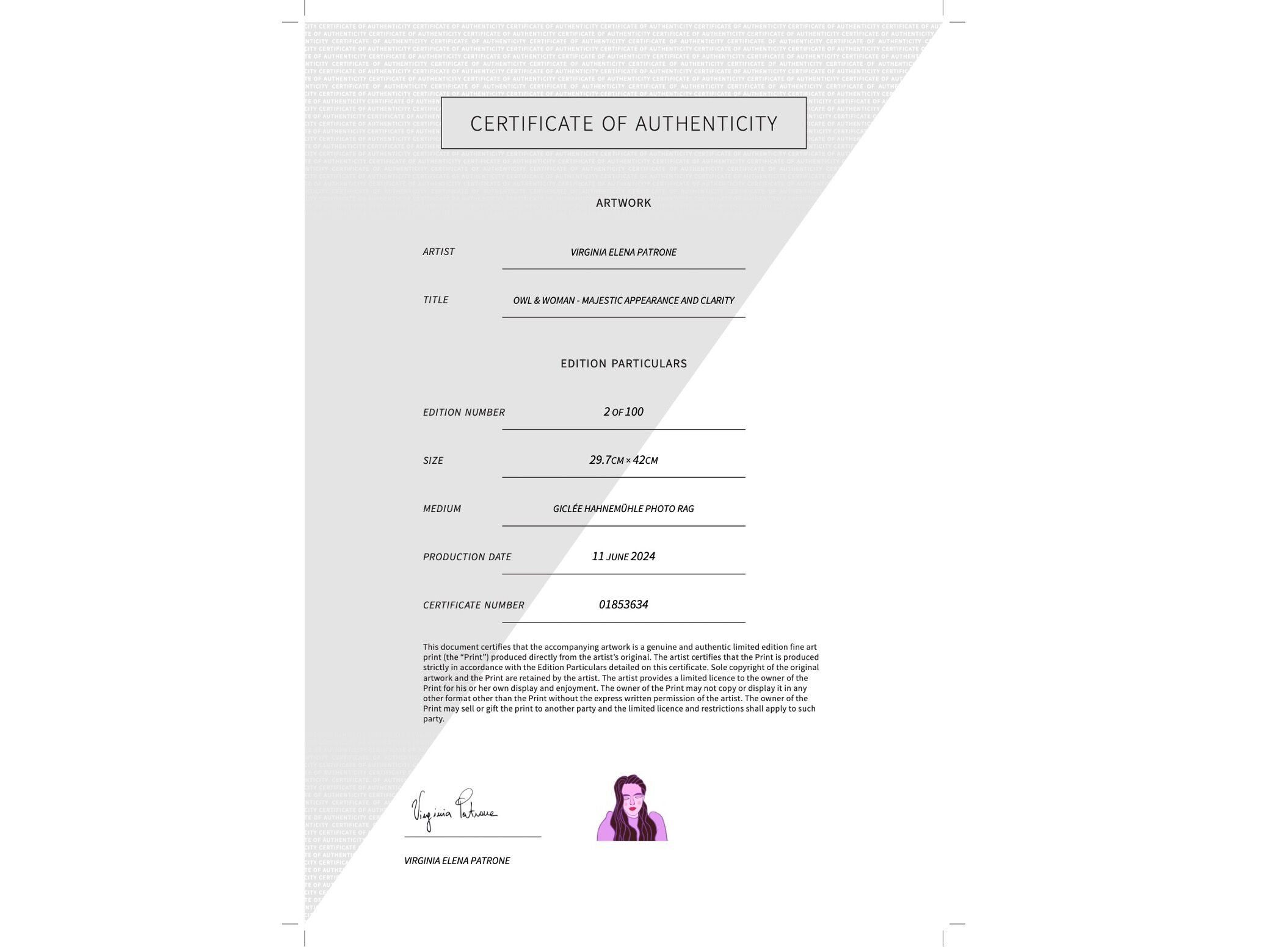Hawk & Woman - Solar strength and sharp focus - Image 7